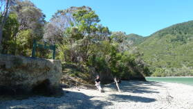 Nydia Bay Campground, Nydia Track.