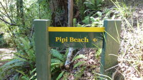 Pipi Beach, Nydia Track.
