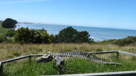Farewell Spit.