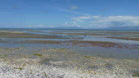 Farewell Spit.
