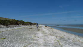 Farewell Spit.
