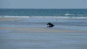 Farewell Spit.