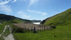 Wharariki Beach Track.