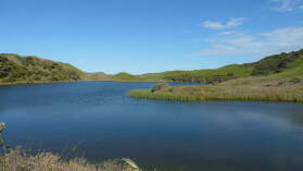 Wharariki Beach Track.