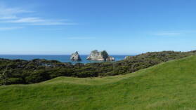 Wharariki Beach Track.