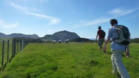 Wharariki Beach Track.