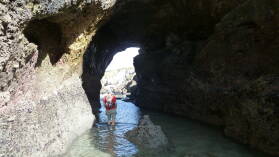 Wharariki Beach.