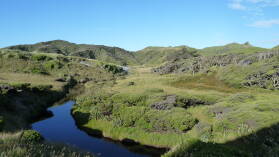 Wharariki Beach Track.