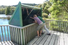 Waikoropupu Springs.