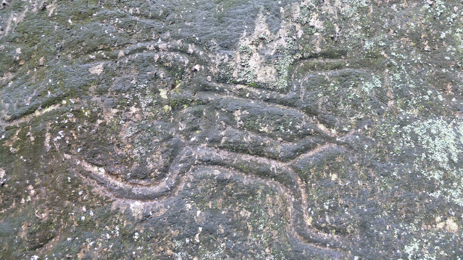 Petroglyphen in Atuona, Hiva Oa.