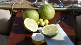 Pampelmusen und Limetten, Fatu Hiva.
