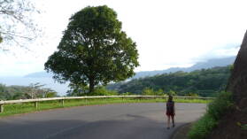 Hiva Oa.