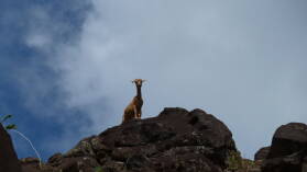Wanderung von Hanaiapa nach Hanatekuua, Hiva Oa.