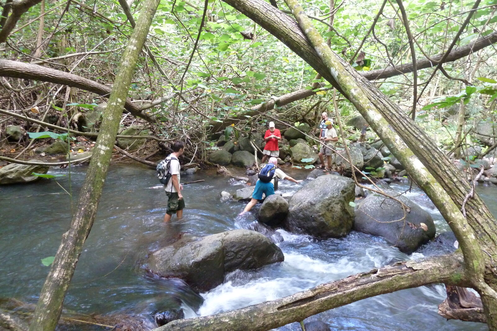 Wanderung von Hakaui zum Vaipo Wasserfall, Nuku Hiva.