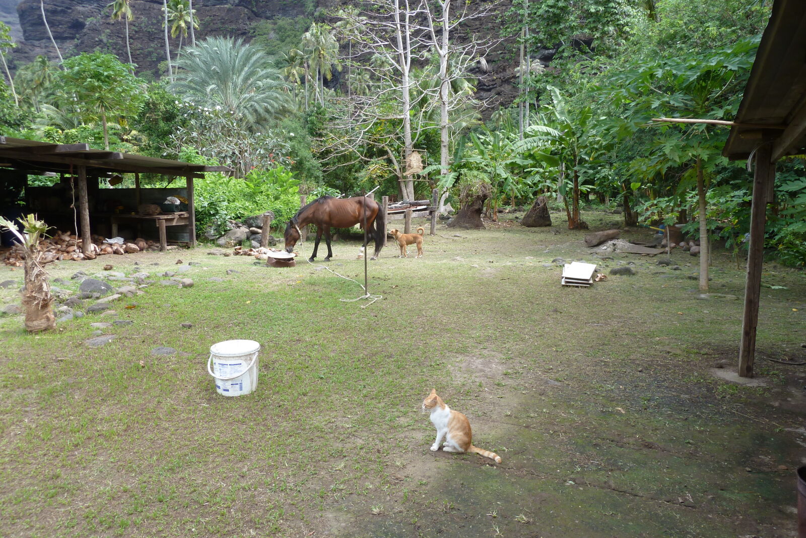 Hakaui, Nuku Hiva.