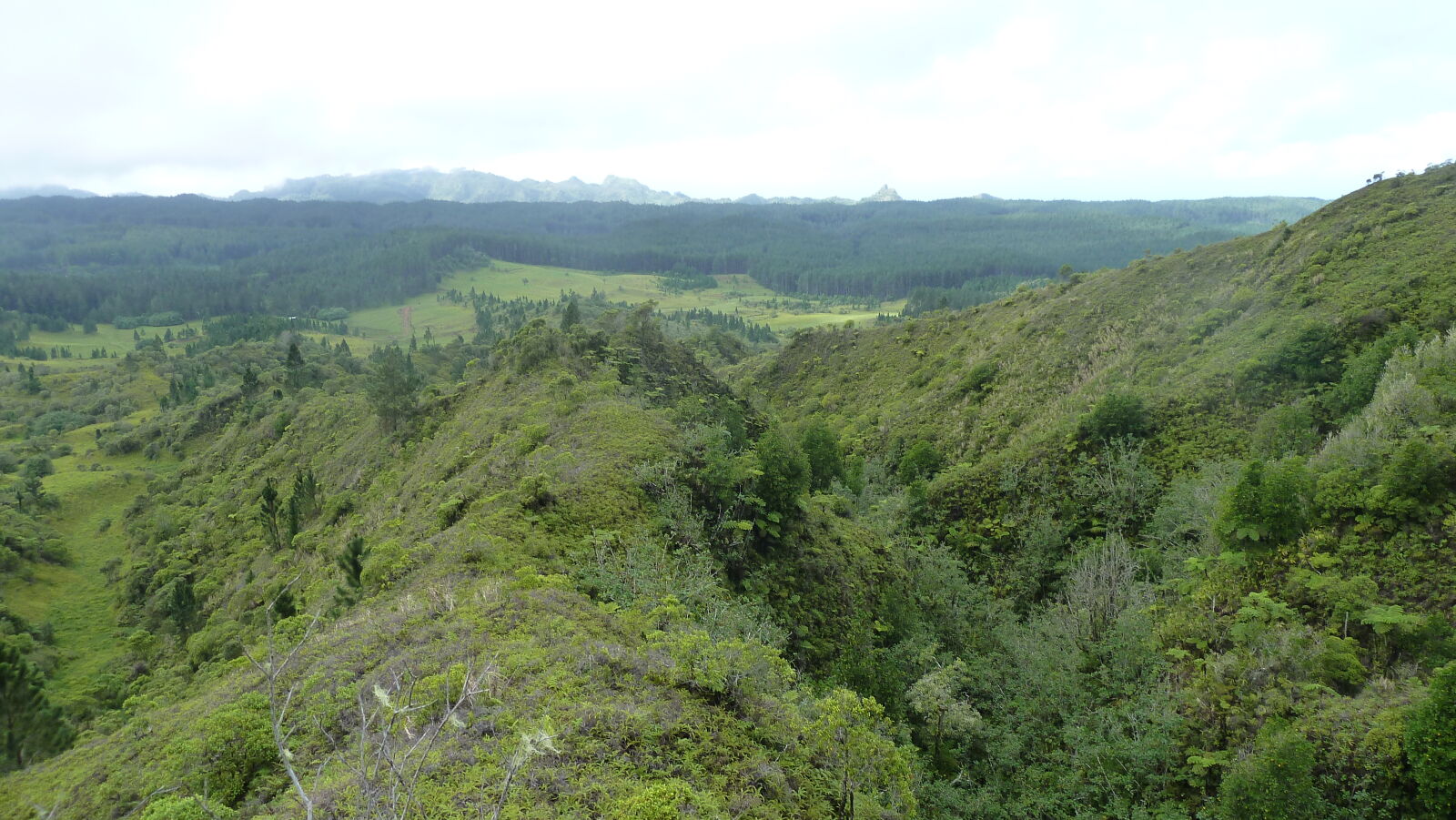 Hochland von Nuku Hiva.