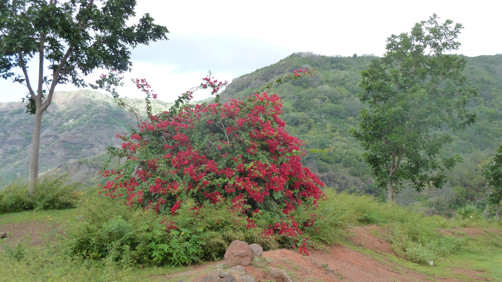 Nuku Hiva.