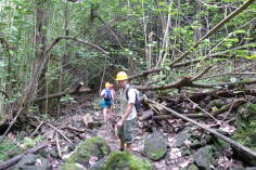 Wanderung von Hakaui zum Vaipo Wasserfall, Nuku Hiva.