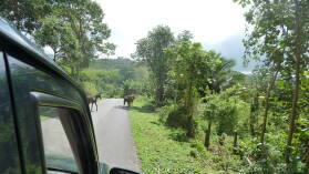 Nuku Hiva.