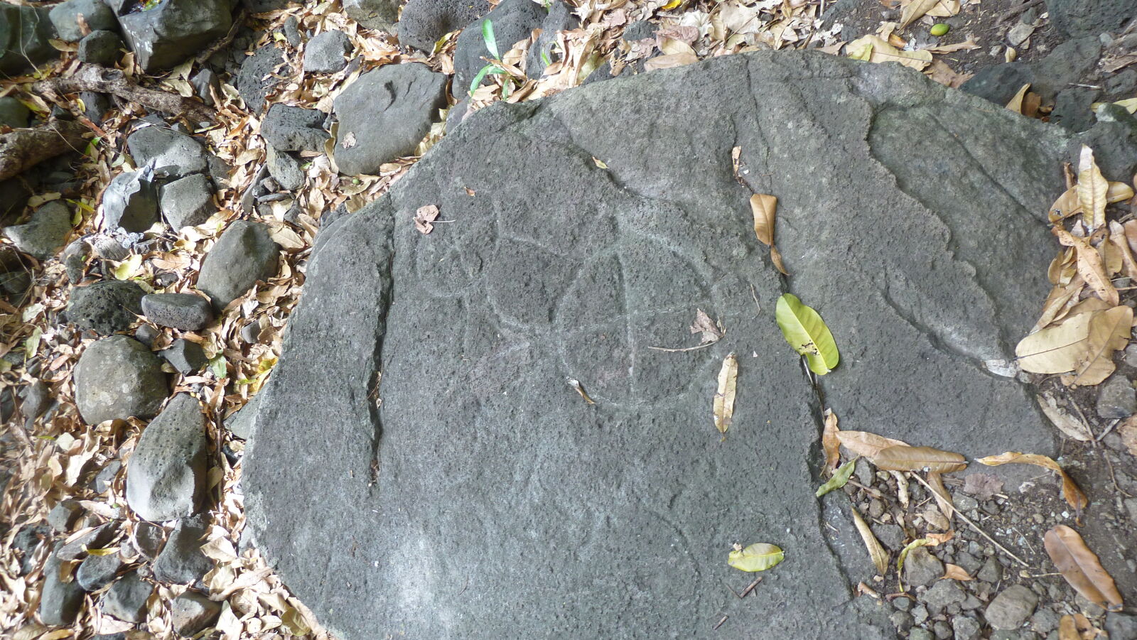 Inselumwanderung; Petroglyphen.