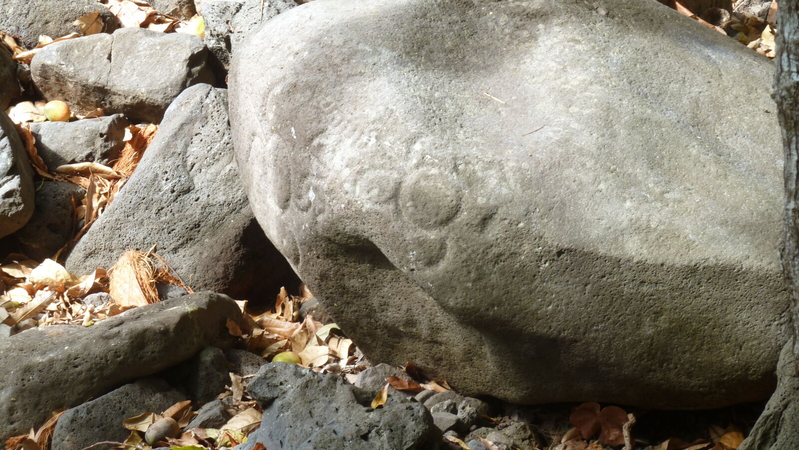 Inselumwanderung; Petroglyphen.
