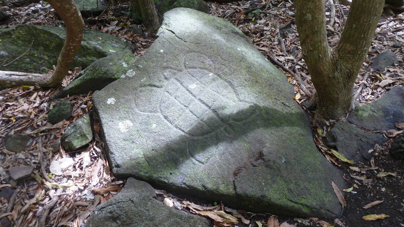 Inselumwanderung; Petroglyphen.