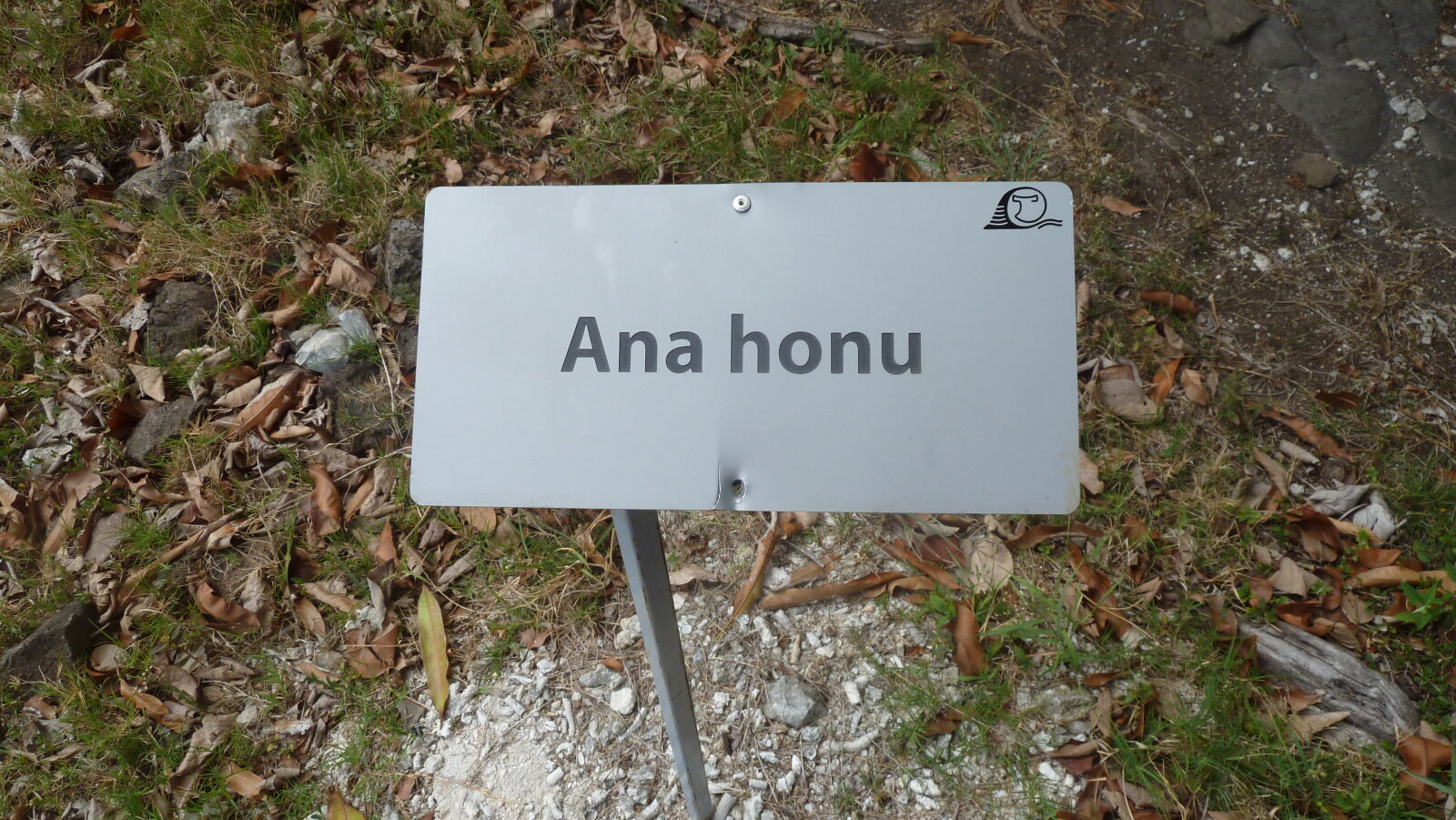 Inselumwanderung; Ana honu.