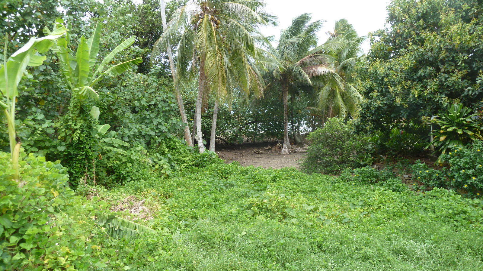 Inselumwanderung; Marae hitia.