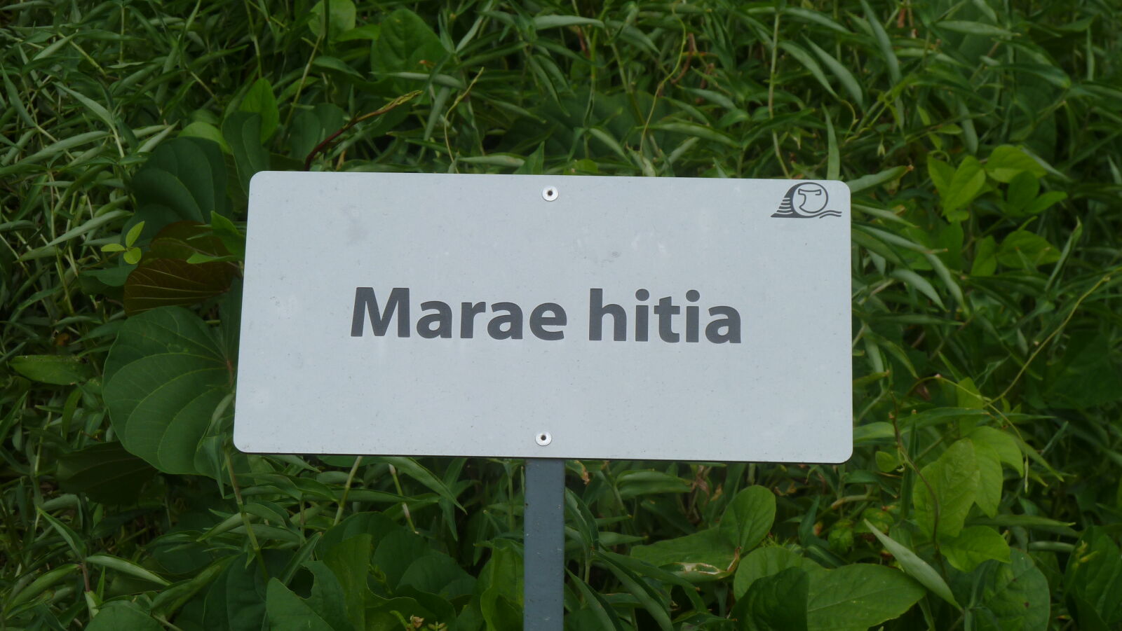 Inselumwanderung; Marae hitia.