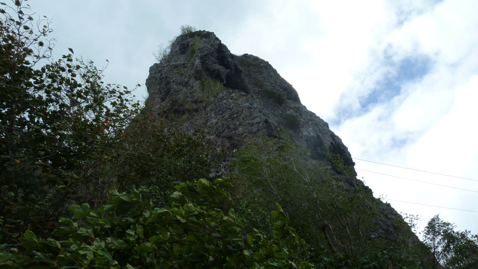 Inselumwanderung; 'Ofa'i pua'a.