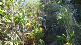 Besteigung des Mt. Teurafaatiu.