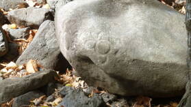 Inselumwanderung; Petroglyphen.