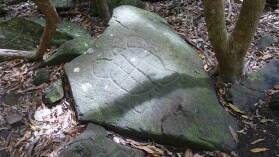Inselumwanderung; Petroglyphen.