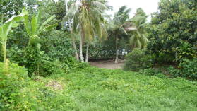 Inselumwanderung; Marae hitia.