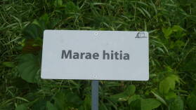 Inselumwanderung; Marae hitia.