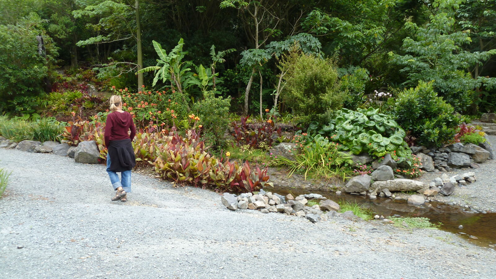 Quarry Gardens, Whangarei.