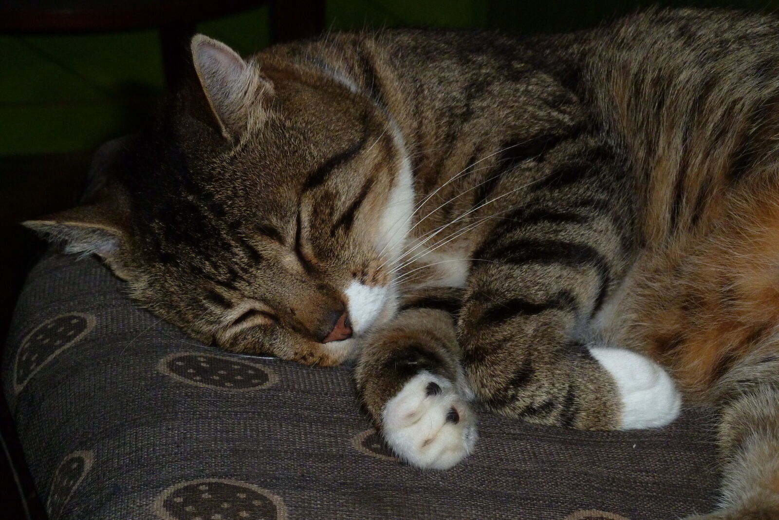 Mittens.