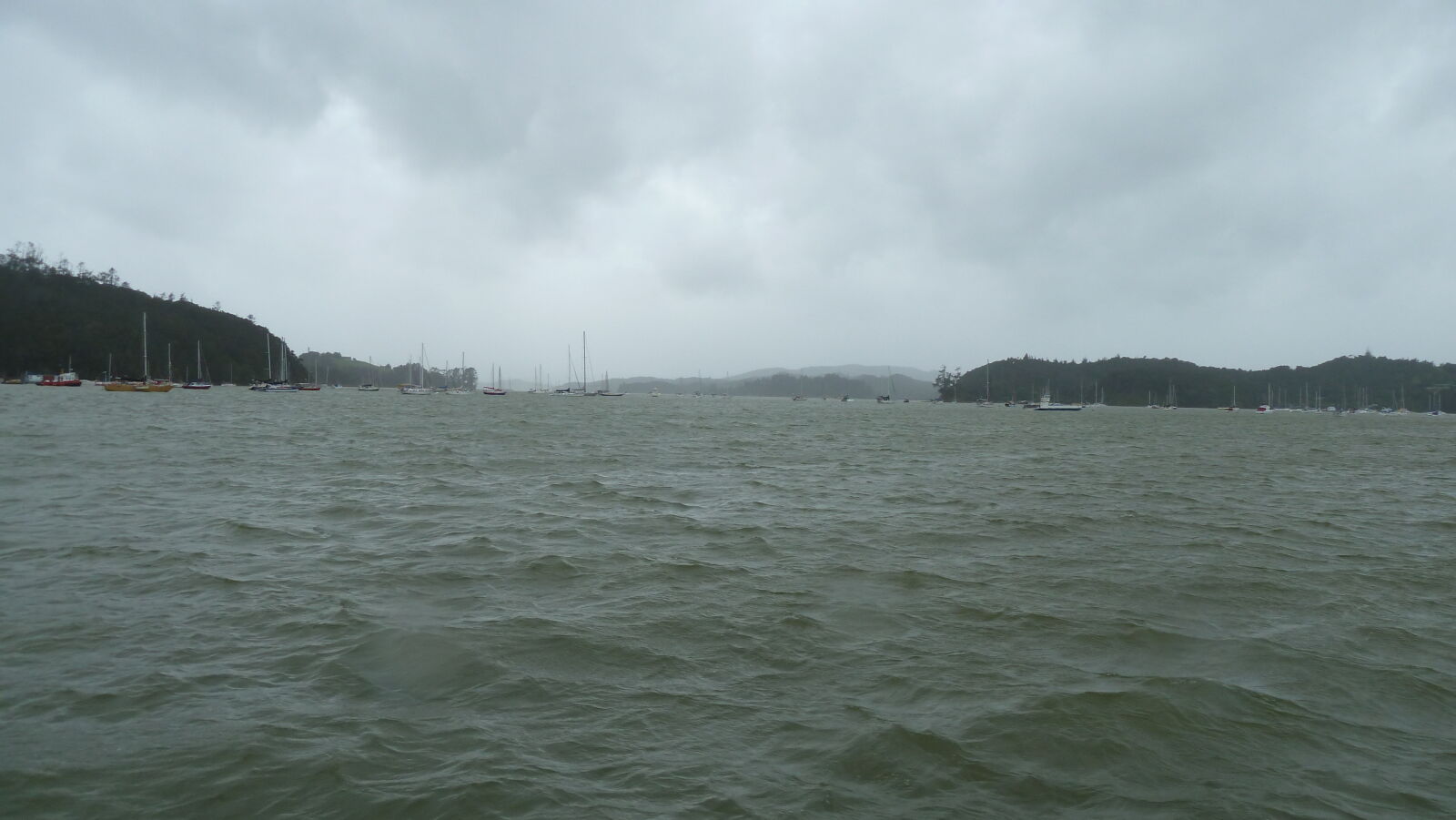 Bay of Islands.