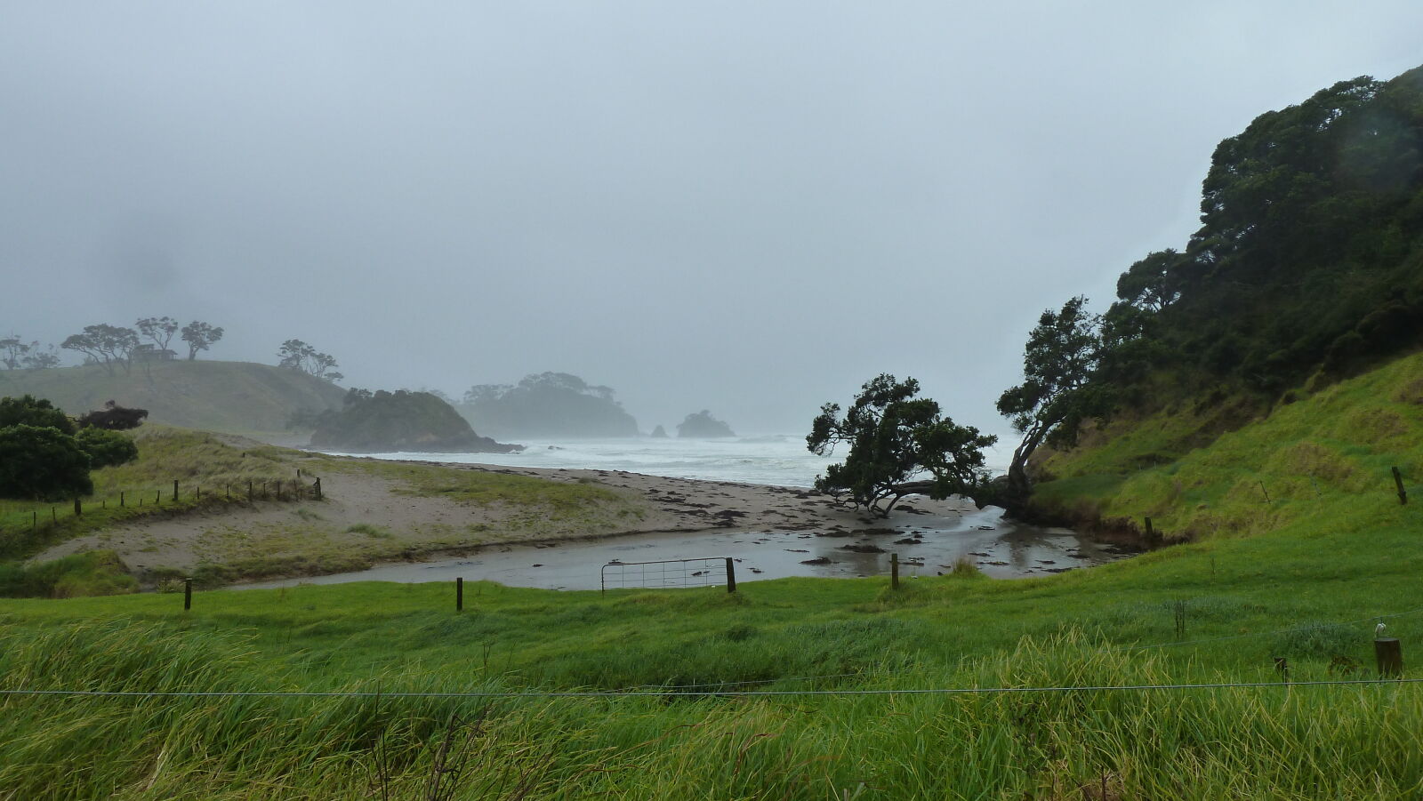 Küste in Northland.