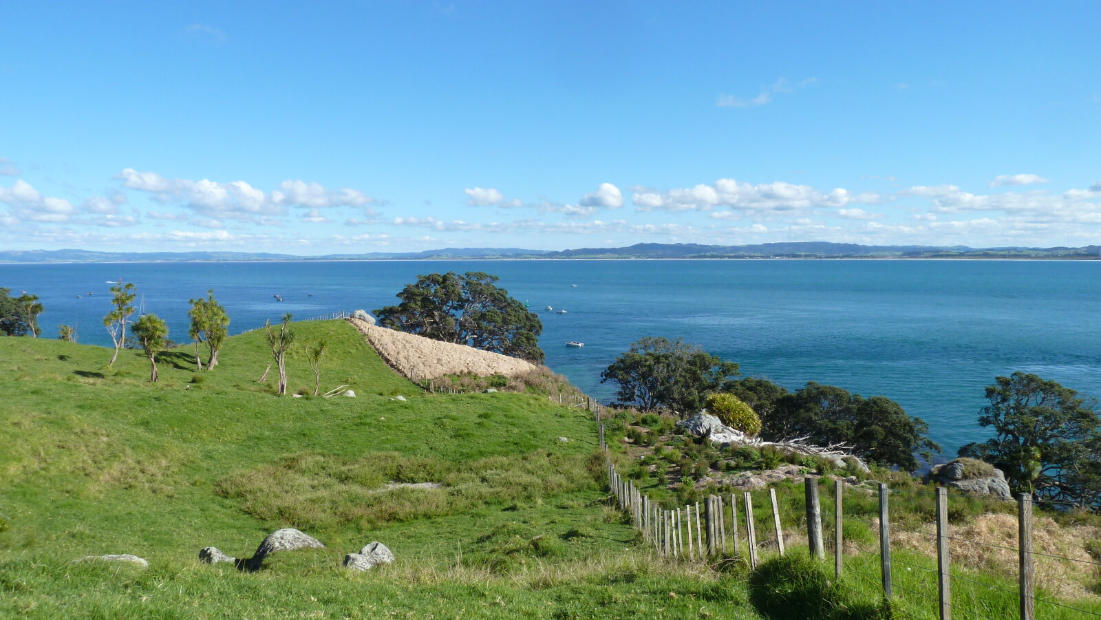 Wanderung bei Whangarei Heads.