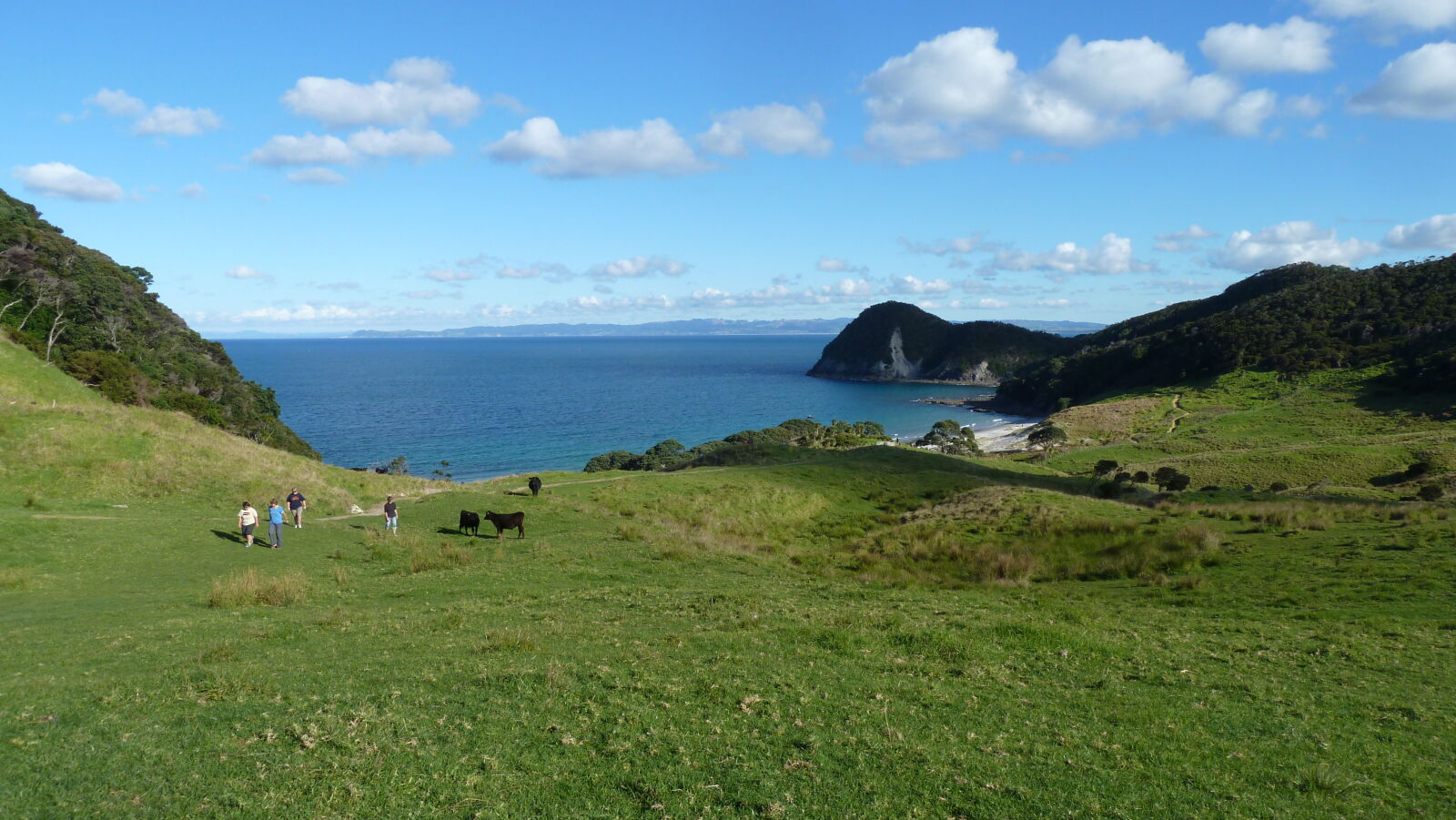 Wanderung bei Whangarei Heads.