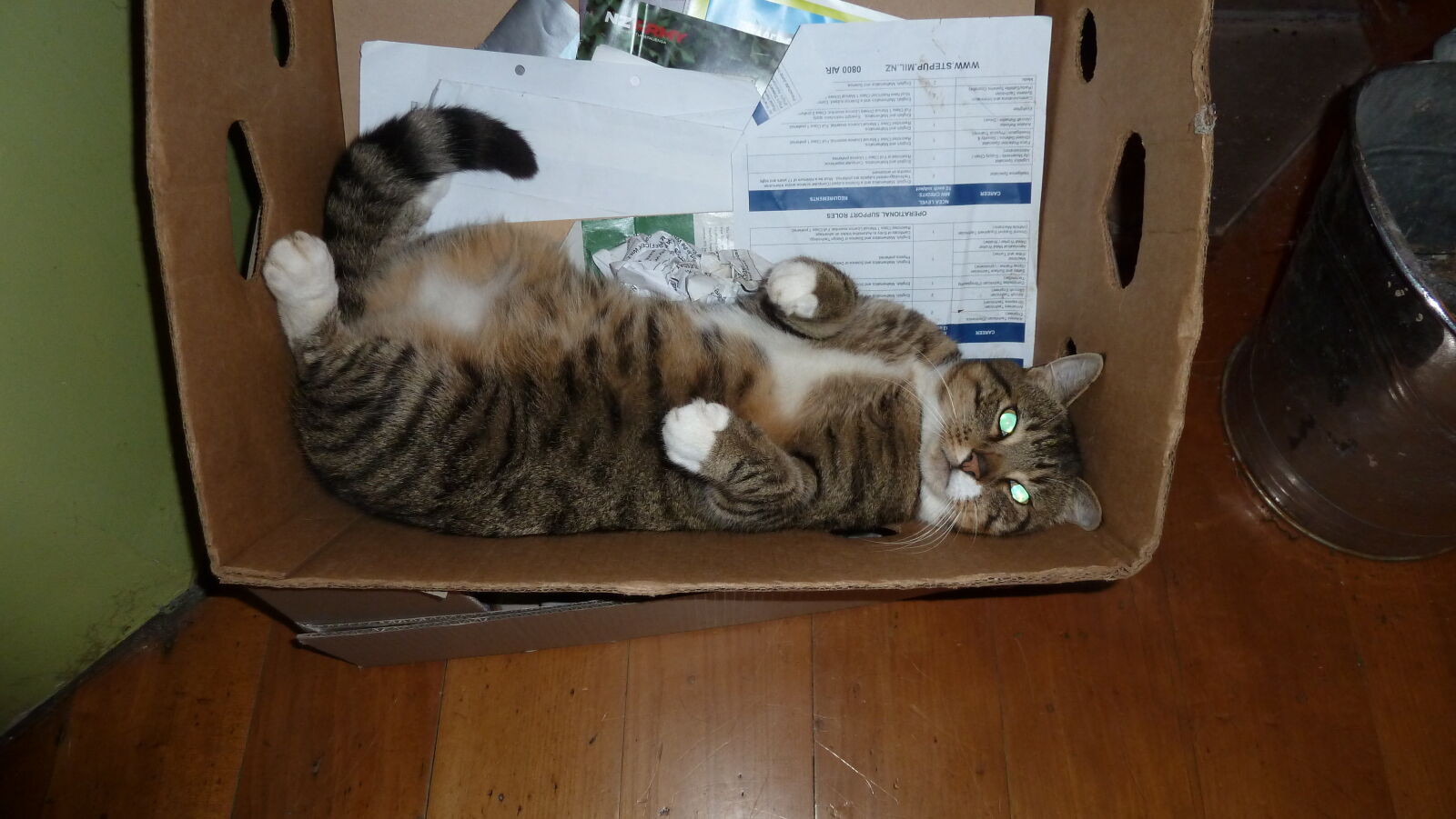 Mittens.