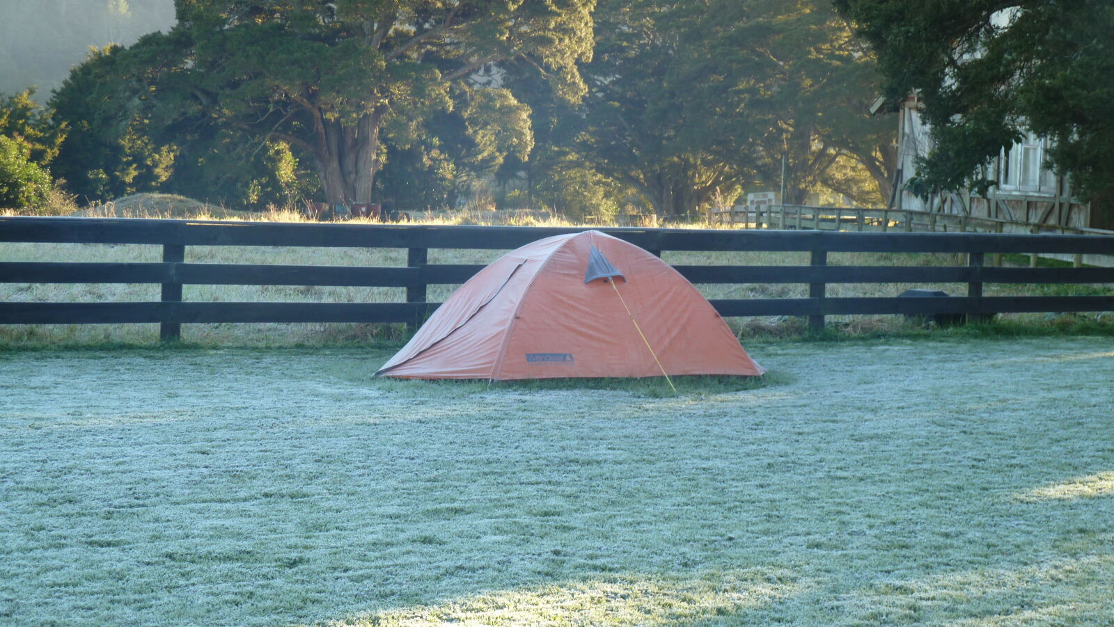 Morgenfrost, Piano Hill Farm.