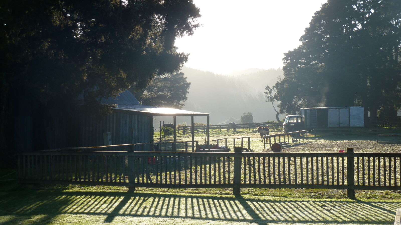 Morgenfrost, Piano Hill Farm.
