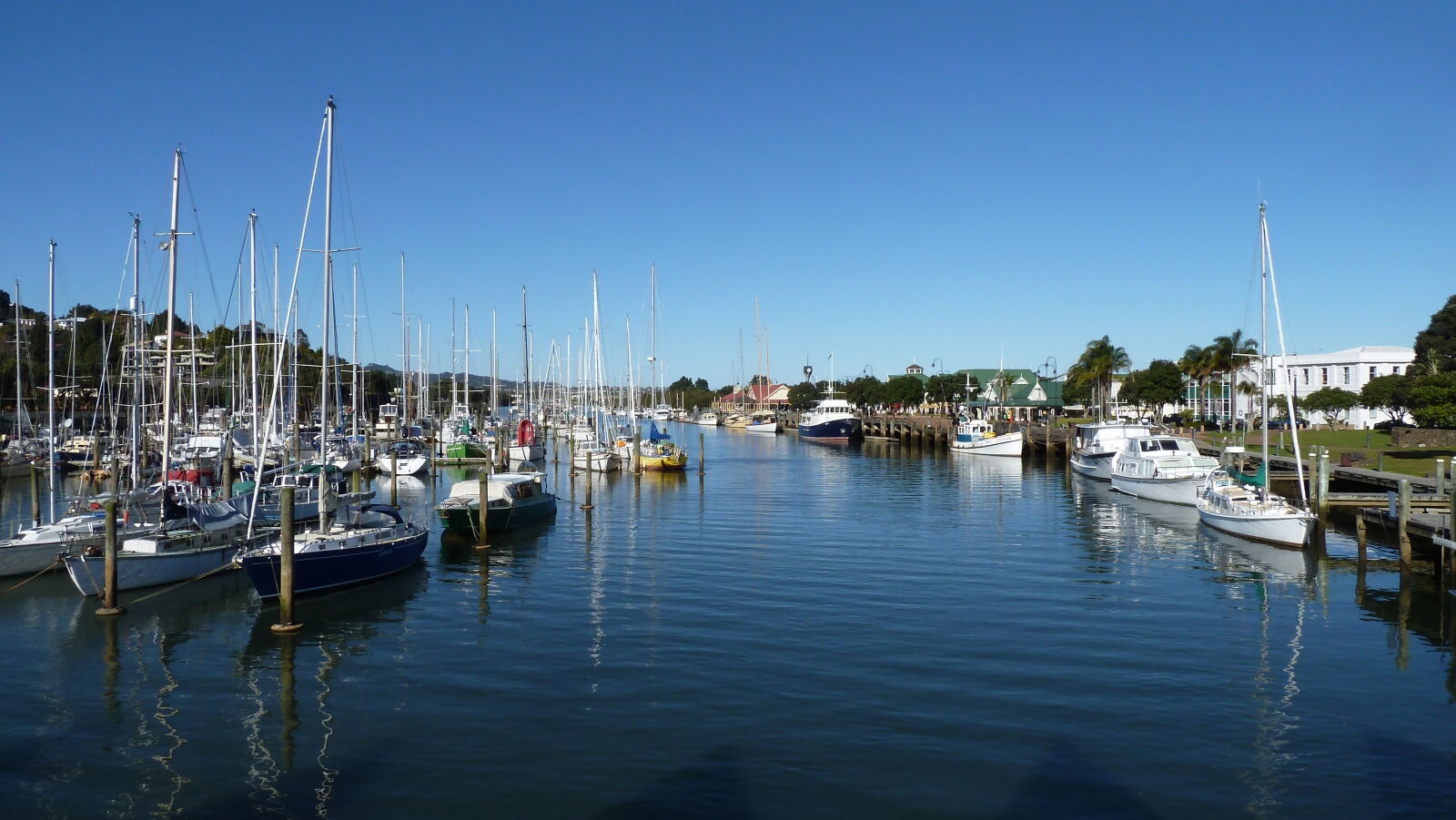 Town Basin Marina, Whangarei.