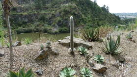 Quarry Gardens, Whangarei.