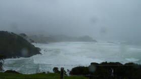 Küste in Northland.