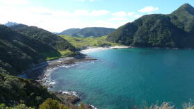 Wanderung bei Whangarei Heads.