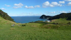 Wanderung bei Whangarei Heads.