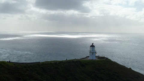 Mehr Northland (NZ)
